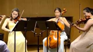 Brahms  Hungarian Dance No5 [upl. by Tnecnivleahcim257]