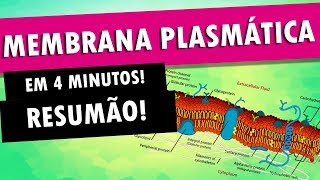 MEMBRANA PLASMÁTICA EM 4 MINUTOS [upl. by Miltie]