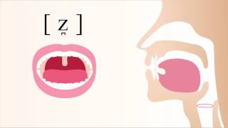 z̪  voiced laminal dental sibilant fricative [upl. by Oech299]