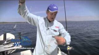 How to Catching baitfish on Sabiki rigs [upl. by Itin]