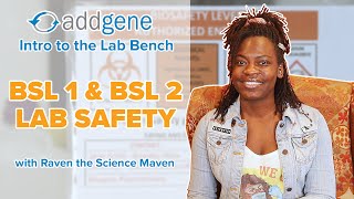 BSL 1 amp BSL 2 Safety  Intro to the Lab Bench [upl. by Artemas]