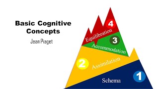 Basic Cognitive Concepts Schema Assimilation Accommodation Equilibration [upl. by Jorry145]