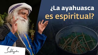 Ayahuasca ¿el camino corto a la espiritualidad  Sadhguru [upl. by Eugenio]