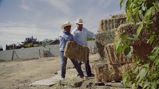 La MarK De Tierra Caliente  Pero Vas a Regresar Video Oficial [upl. by Netnilc]