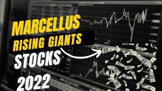 MARCELLUS RISING GIANTS PORTFOLIO STOCKS  SAURABH MUKHERJEE  2022 [upl. by Zuckerman]