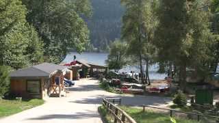 Naturcampingplatz Weiherhof am Titisee [upl. by Anaujnas]