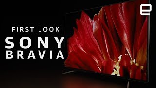 Sony Bravia Master Series 4K TV First Look [upl. by Eluk]