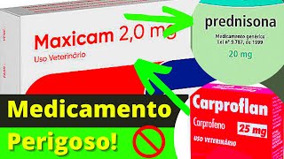 REMEDIO ANTIINFLAMATÓRIOS PARA CACHORRO  Melhor Remédio para Dor [upl. by Iong995]