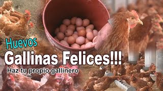 HUEVOS DE GALLINAS FELICESHAZ TU PROPIO GALLINERO [upl. by Nostaw]