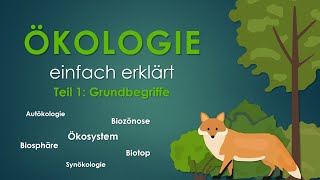 1 Grundbegriffe  ÖKOLOGIE einfach erklärt [upl. by Nnainot]