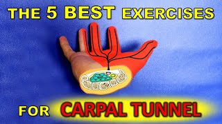 THE 5 BEST Carpal Tunnel Exercises Gamers Do These [upl. by Andriana]