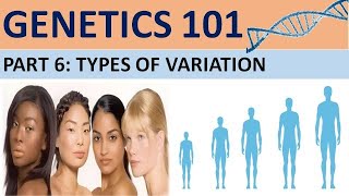 GENETICS 101 Part 6 Types of VariationCXC Biology Tutor [upl. by Arised189]