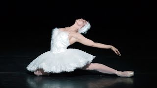 The Dying Swan – Natalia Osipova The Royal Ballet [upl. by Alpers412]