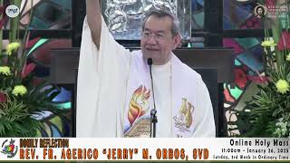 Homily Homily Reflection of Rev Fr Jerry Orbos SVD [upl. by Keung702]