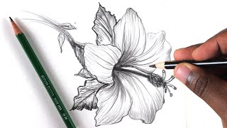 How To Draw A Flower Step by Step In 10 Minutes [upl. by Sikras355]