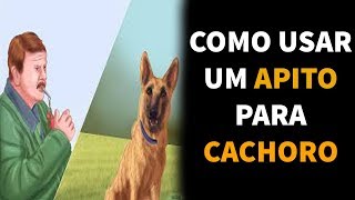 Como Usar um Apito Para Cachorros  COMO FUNCIONA O APITO CANINO [upl. by Reisman]