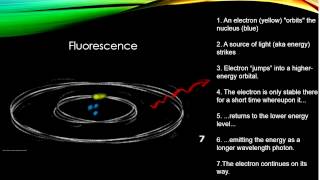 Luminescence [upl. by Strader]