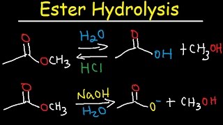 Ester Hydrolysis Reaction Mechanism  Acid Catalyzed amp Base Promoted Organic Chemistry [upl. by Aimal]