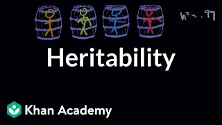 Heritability  Behavior  MCAT  Khan Academy [upl. by Atinuj]