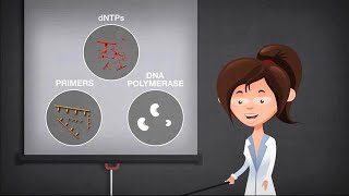 Basics of PCR [upl. by Maurine]