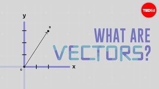 What is a vector  David Huynh [upl. by Gloria]