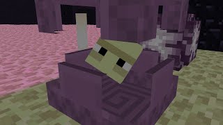 How To Breed Shulkers In Minecraft Shorts [upl. by Gorlicki675]