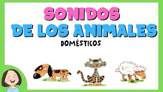 Aprendemos los sonidos de los animalesDiscriminación sonidos [upl. by Yehtomit]