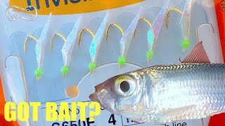 HOW TO USE A SABIKI RIG TO CATCH BAIT FF Episode 13 Season 1 [upl. by Pepi]