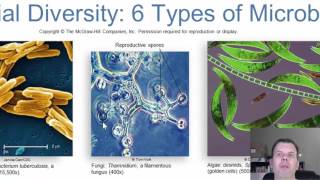 Chapter 1 Introduction to Microbiology [upl. by Aluin]