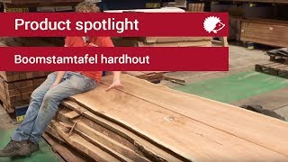 Product Spotlight Boomstam tafelblad hardhout [upl. by Damek]