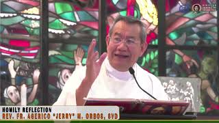 𝗧𝗵𝗲 𝗙𝗔𝗧𝗛𝗘𝗥 𝗦𝗢𝗡 amp 𝗛𝗢𝗟𝗬 𝗦𝗣𝗜𝗥𝗜𝗧  Homily 26 May 2024 with Fr Jerry Orbos SVD on Holy Trinity Sunday [upl. by Wylen]