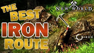 The Best IRON Farming Route in New World [upl. by Pinette]