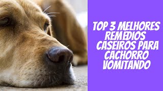 Top 3 Melhores Remédios Caseiros Para Cachorro Vomitando [upl. by Lansing]