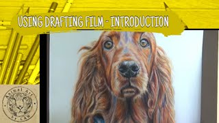 Introduction to using Drafting Film [upl. by Essilec]