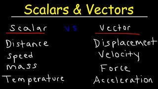 Scalars and Vectors [upl. by Renfred]