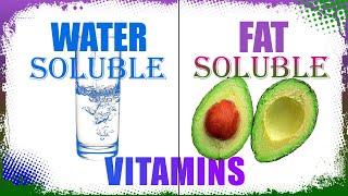 Water Soluble and Fat Soluble Vitamins [upl. by Anselmi]