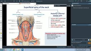 Fascia of the Neck  Dr Ahmed Farid [upl. by Adis]