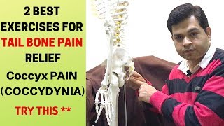 2 BEST Exercises For Tail bone Pain Coccydynia CoccyxTail Bone Pain Relief Treatment at Home [upl. by Onailimixam]