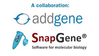 Improved Plasmid Maps Powered by SnapGene [upl. by Tnecniv]