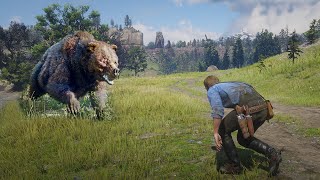 Red Dead Redemption 2 How to Hunt the Legendary Bear [upl. by Aip]