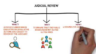 Public Law  Chapter 8 Judicial Review Degree  Year 1 [upl. by Meraree]