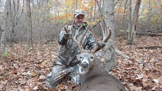 Whitetail Edge Massive 183quot Ohio Early Rut Buck [upl. by Vivyanne508]