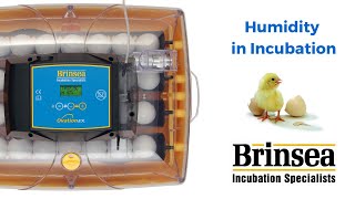 Brinsea Products Ltd  A Guide to Humidity in Incubation [upl. by Pepin754]