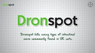 DRONSPOT® Spoton Wormer for Cats  How it Works Bayer [upl. by Salamone]