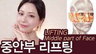 ENG LIFTING MIDDLE PART OF FACE 중안부 리프팅 쉽고 효과적인 셀프경락 [upl. by Cyndie]