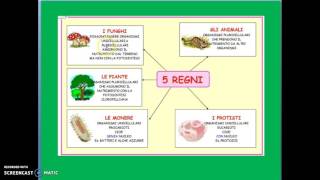 I cinque regni dei viventi [upl. by Ariek]