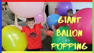 MEGA HUGE BALLOONS  Worlds Biggest Balloon popping [upl. by Imena]