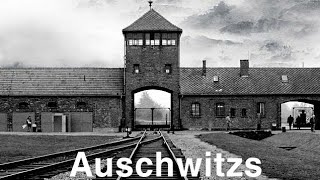 Reportage Auschwitz Camp De La Mort [upl. by Notnil399]