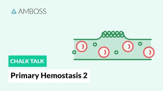 Primary Hemostasis  Part 2 Platelet Activation [upl. by Eenor]