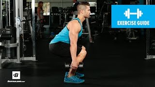 How to Dumbbell Squat  Mike Hildebrandt [upl. by Mairym]